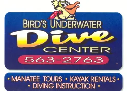 birds_underwater.jpg.webp
