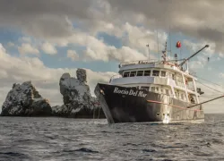 boat.jpg.webp