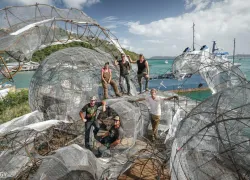 bvi_art_reef_ship_build_oewn_buggy_photo.jpg.webp