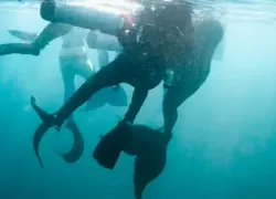 catalina-island-mermaid-rescue-credit-darren_joshua-leonardi_nativ-productions.png.webp
