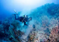 cayman.jpg.webp