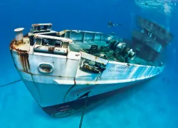 caymanmain.jpg.webp