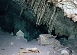 centoes-underwater-video.jpg.webp