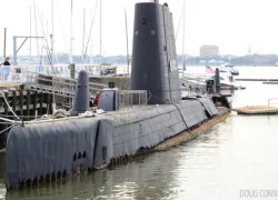 clamagore_submarine_exterior_florida_doug_conner.jpg.webp
