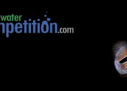 competition.jpg.webp