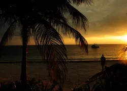 cozumel_topside_.gif.webp