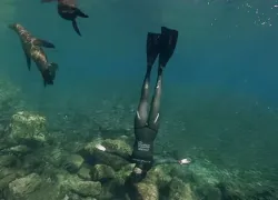 cressi_freedive_video_mexico_.jpg.webp