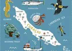 curacao-scuba-magazine.jpg.webp