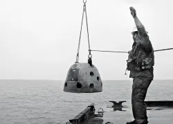 currents_narcissus.jpg.webp