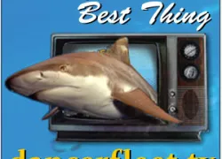 df-tv_px.jpg.webp