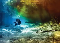 dive-orlando.jpg.webp