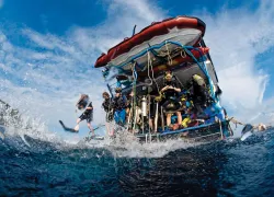 dive.jpg.webp