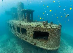 dive_o_clock_oahu_yo_william_stohler_teaser_scd.jpg.webp