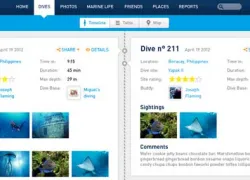diviac_.jpg.webp