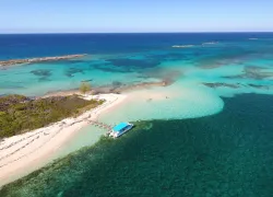 dji_.jpg.webp