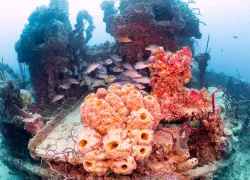 fl_keys_spiegel_grove_article_images_x.png.webp
