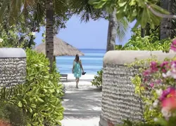 four_seasons_liveaboards_image.png.webp