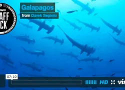 galapagosthumb.jpg.webp