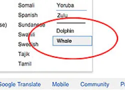 google-translate-thumb.jpg.webp