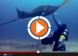 gopro_manta_rescue.jpg.webp