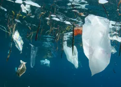 great_pacific_garbage_patch_teaser-_.png.webp