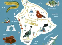 hawaii-scuba-magazine.jpg.webp