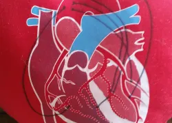 heart-surgery-scuba-diving-pillow-diagram-teaser.jpg.webp