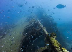 history-of-yongala-shipwreck-australia.jpg.webp