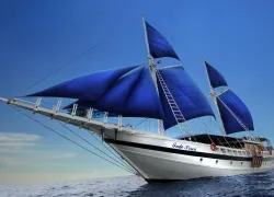 indo-siren-low.jpg.webp
