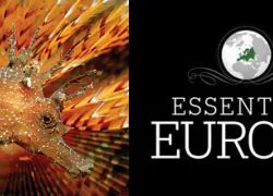 july-esstential-europe-feature.jpg.webp