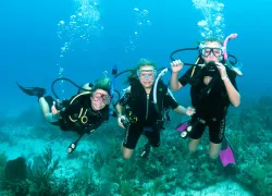 kiddivers.jpg.webp
