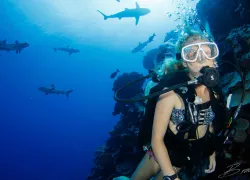 kids-sea-camp-scuba-diving-yap-shark.jpg.webp