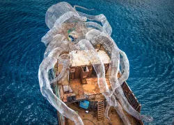 kodiak-queen-kraken.jpg.webp