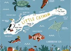 little-cayman-scuba-magazine.jpg.webp