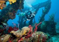 liveaboard_cuan_law_diver_scd.jpg.webp