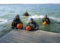 madisonscuba.jpg.webp
