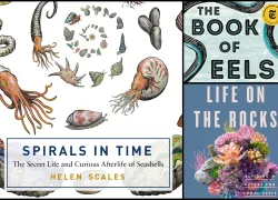 marine-science-books-teaser.png.webp