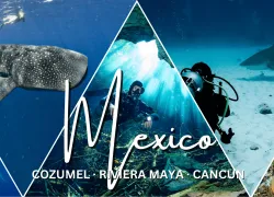 mexico.png.webp