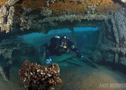 michigan_drive_and_dive__.jpg.webp