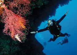narcosis-image.jpg.webp