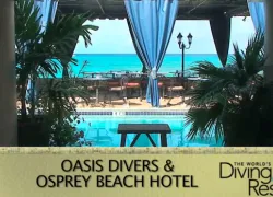 oasis_divers.jpg.webp