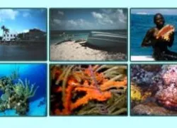 oasis_divers_picture.jpg.webp