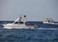 ocean_encounters_boat.jpg.webp