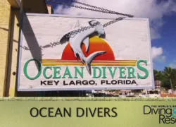 oceandivers_wbdr-thumb.jpg.webp