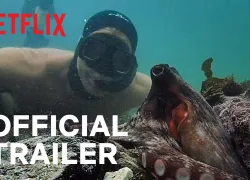 octopus-teacher-trailer-teaser-image.jpeg.webp
