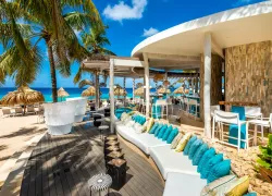 plaza_resort_-_palm_beach_bar__teaser.jpg.webp