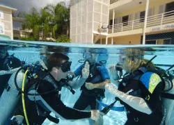 pool_training_sm.jpg.webp