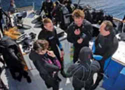 predivebrief_.jpg.webp