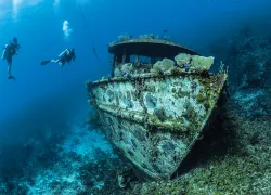 readers-choice--roatan-shipwreck-kadu-pinheiro-teaser.jpg.webp