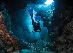 readers-choice--scuba-diving-cayman-islands-cave-diving.jpg.webp